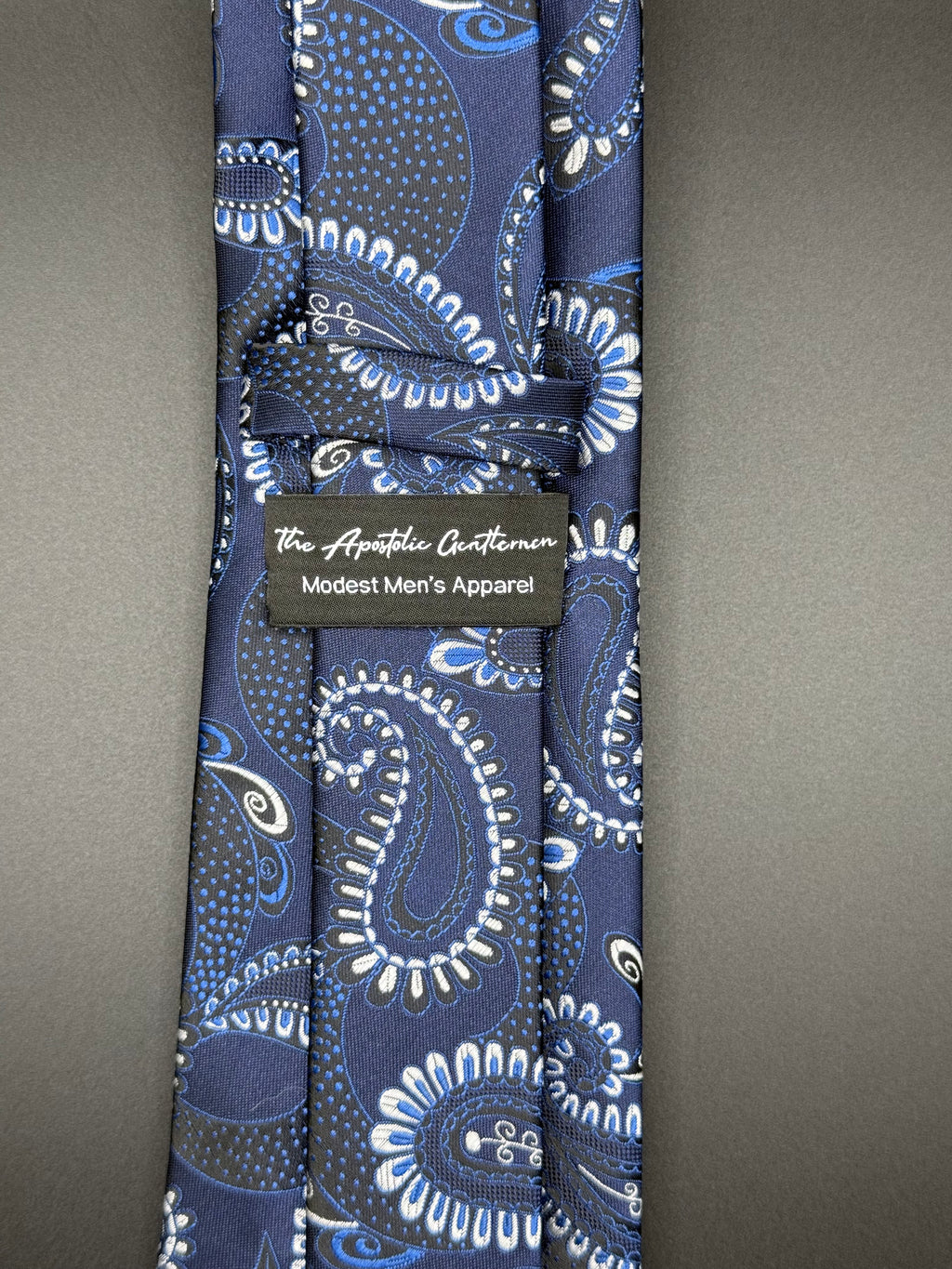 Steel Gray and Slate Blue Paisley on Navy Blue Necktie