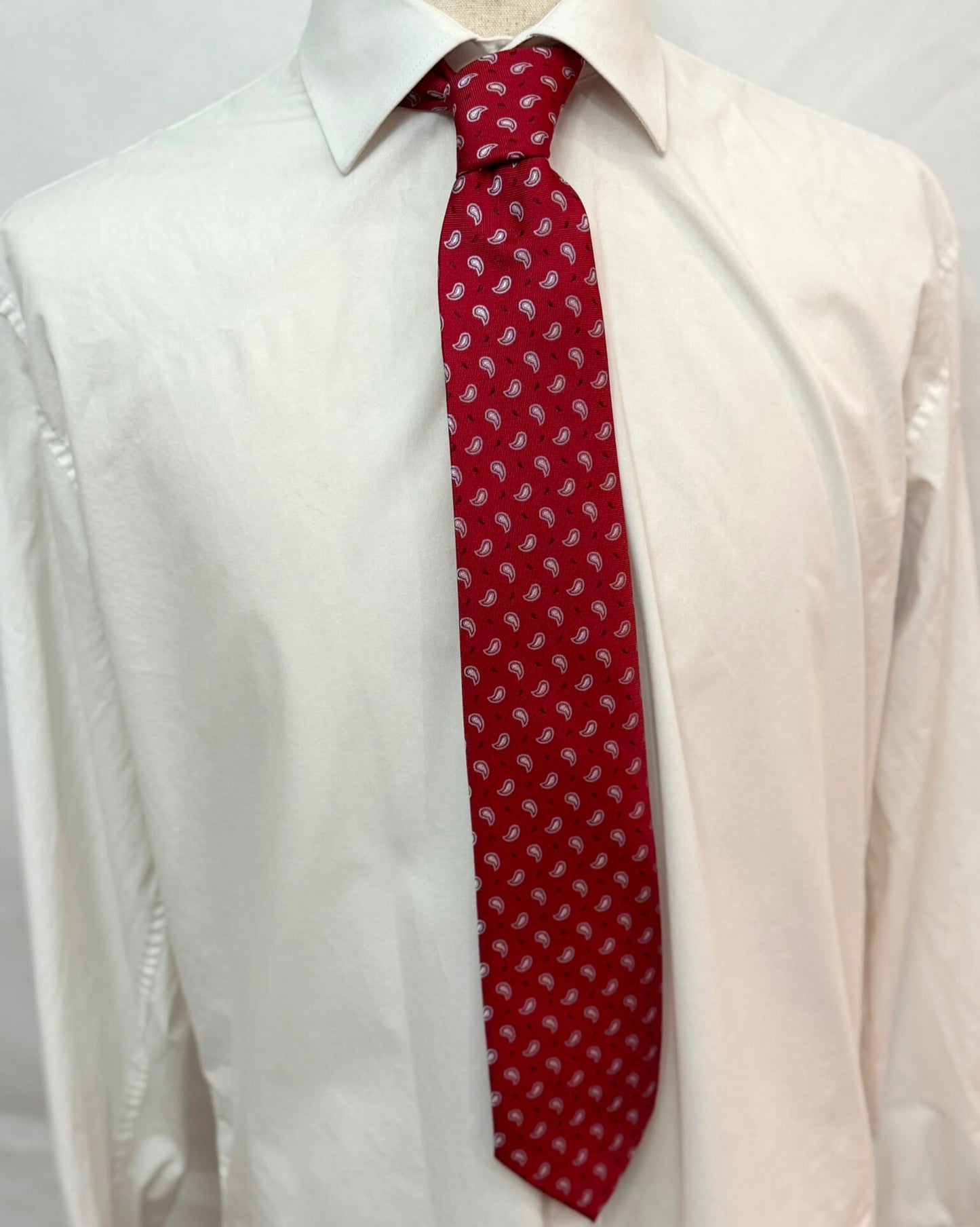Small Teardrop Paisleys on Red Necktie